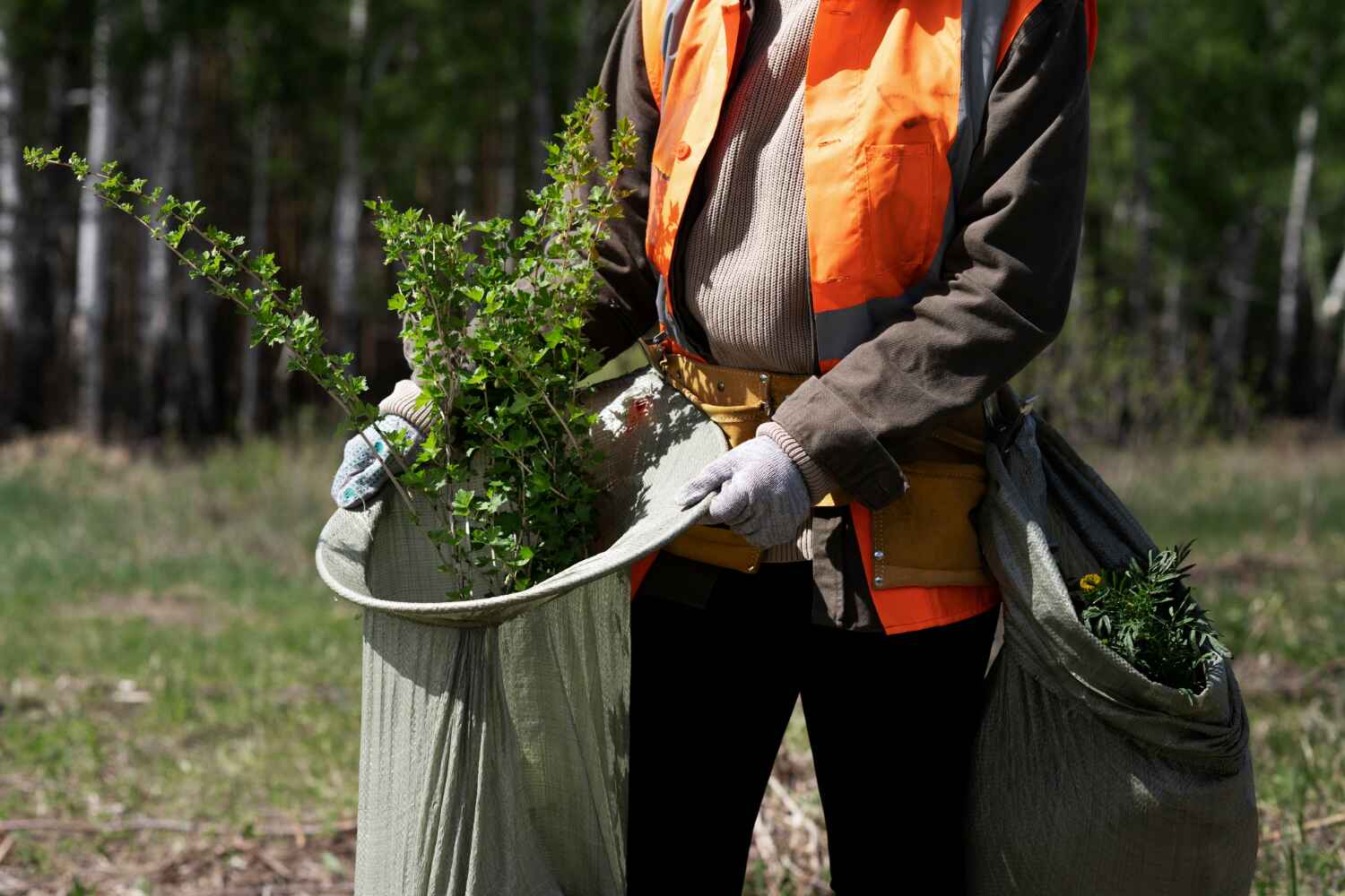 Best Emergency Tree Service  in USA